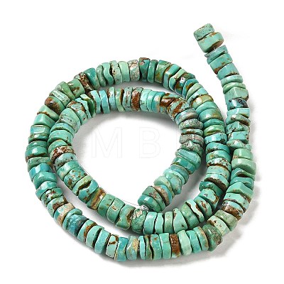 Natural Turquoise Beads Strands G-P506-05B-1