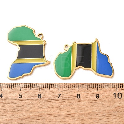 304 Stainless Steel & Enamel Pendants SA-CBA6ECE-01F-G-1