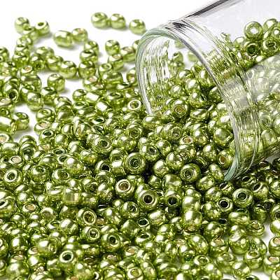 8/0 Glass Seed Beads SEED-A017-3mm-1112-1