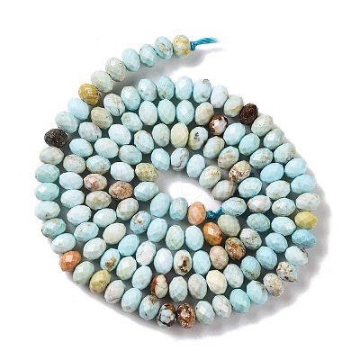 Natural Howlite Beads Strands G-H025-03C-09-1