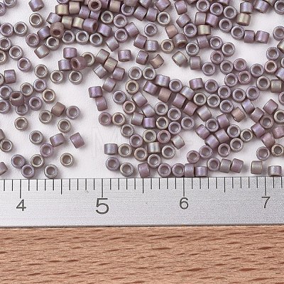MIYUKI Delica Beads X-SEED-J020-DB2321-1