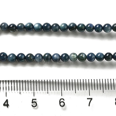 Natural Freshwater Shell Beads Strands SHEL-H003-03C-1