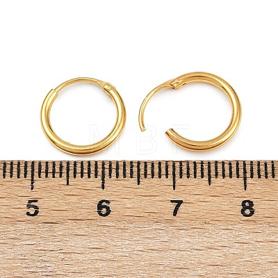 925 Sterling Silver Hoop Earrings STER-B008-01A-G-1