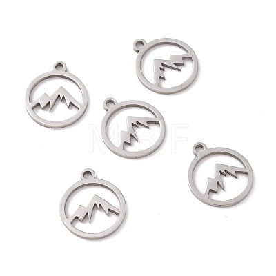 201 Stainless Steel Charms STAS-G281-01P-02-1