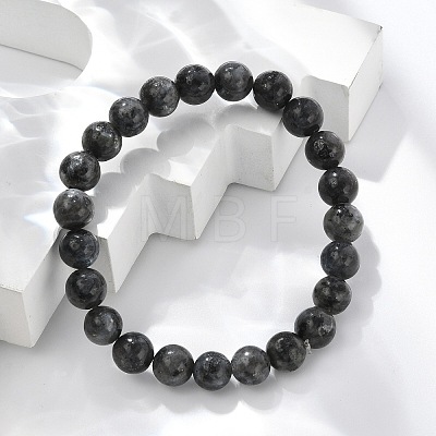 Natural Larvikite Beads Stretch Bracelets BJEW-F380-01-B14-1