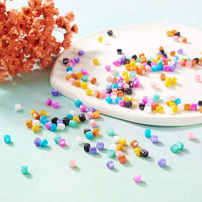 300Pcs 10 Colors Natural Freshwater Shell Beads SHEL-TA0001-06-1