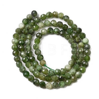 Natural Green Jasper Beads Strands G-RM250101-C10-1