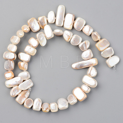 Spray Painted Natural Freshwater Shell Beads Strands SHEL-S276-89C-1