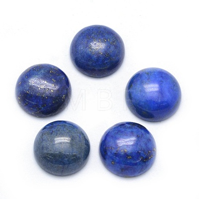 Natural Lapis Lazuli Cabochons X-G-P393-R11-14mm-1