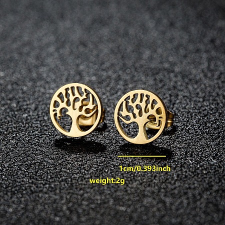 201 Stainless Steel Stud Earrings FS-WGB18B1-25-1