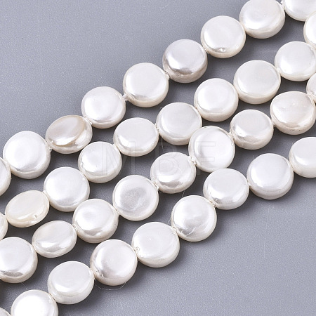 Natural Freshwater Shell Beads Strands SHEL-N026-50B-01-1