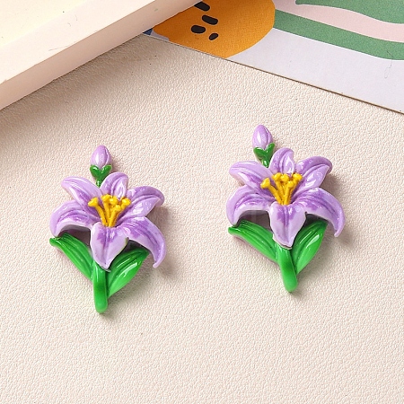 Opaque Resin Cabochons LS-PW-WG0F442-03-1