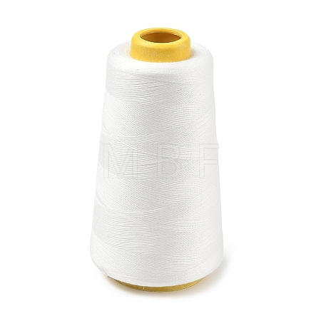 3000M Polyester Machine Embroidery Threads FB-CBA5736-01G-1