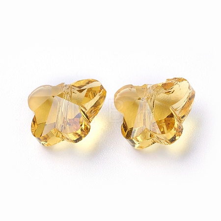Transparent Glass Beads GLAA-P037-02B-19-1